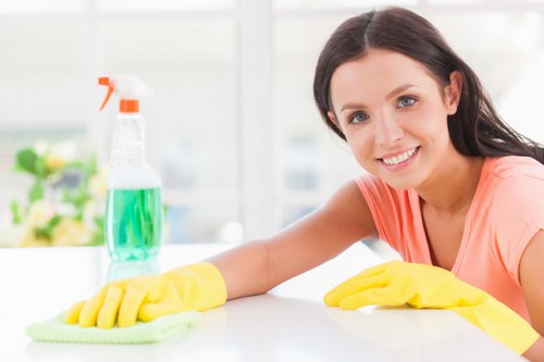 Professional carpet cleaning in an N10 home with a focus on deep cleaning