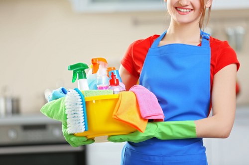 Professional upholstery cleaning for sofas in N10 homes