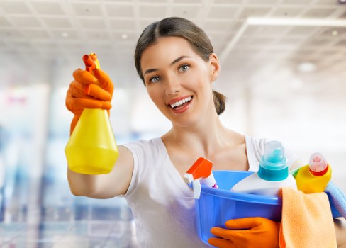 Professional domestic and commercial cleaning services in N10