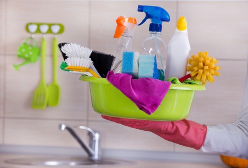 Regular house cleaning service for residents in N10