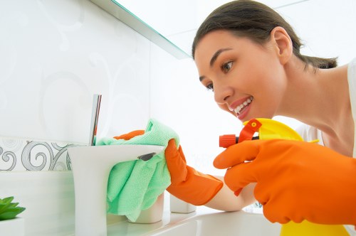 SSL encryption protecting Carpetcleaning N10 online payment details