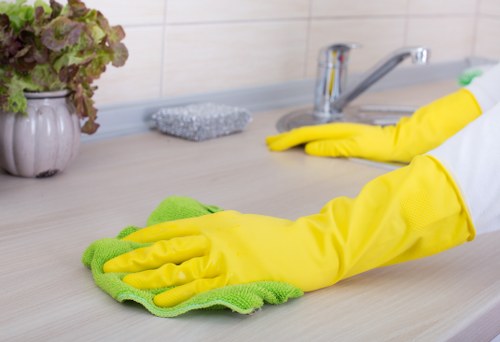 Professional domestic cleaning visit for an N10 household