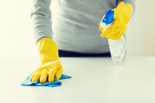 Local home cleaners working in a family property in N10
