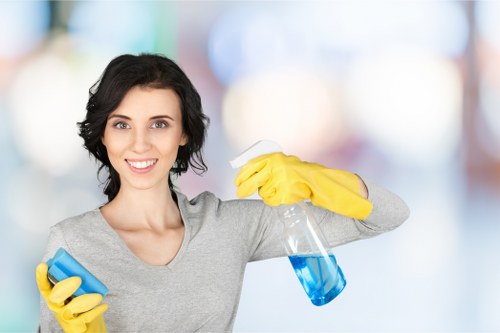 Professional oven cleaning service for a home kitchen in N10