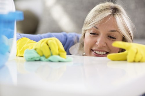 Commercial cleaning for a small business near N10