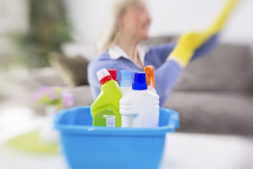 Professional deep cleaning for homes and businesses in N10