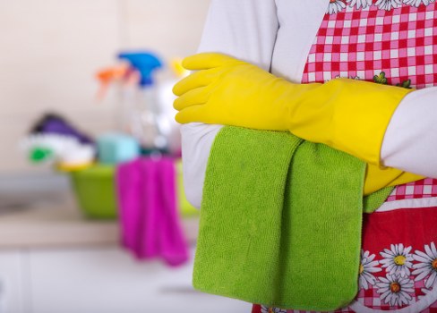 Local oven deep cleaning for residential and commercial customers in N10
