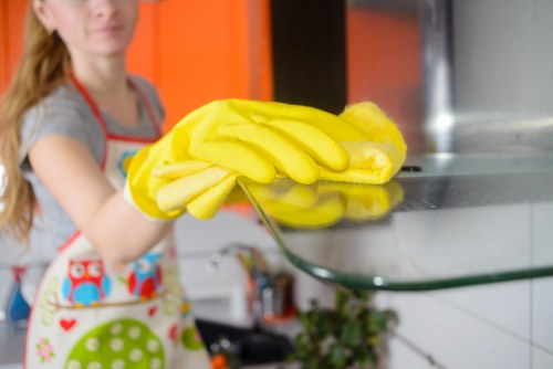 Dusting and vacuuming during a one-off cleaning visit in N10
