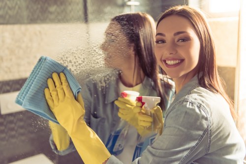 Professional cleaning service for flats and houses in N10