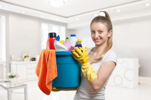 Deep cleaning for a North London home in the N10 area