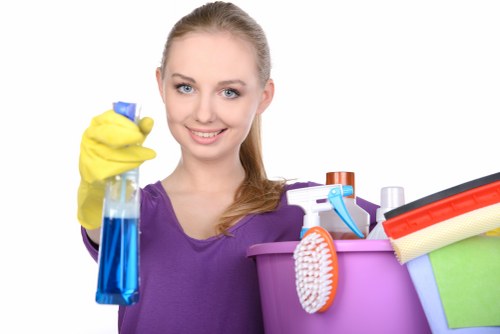 Deep cleaning support for a Muswell Hill area property in N10
