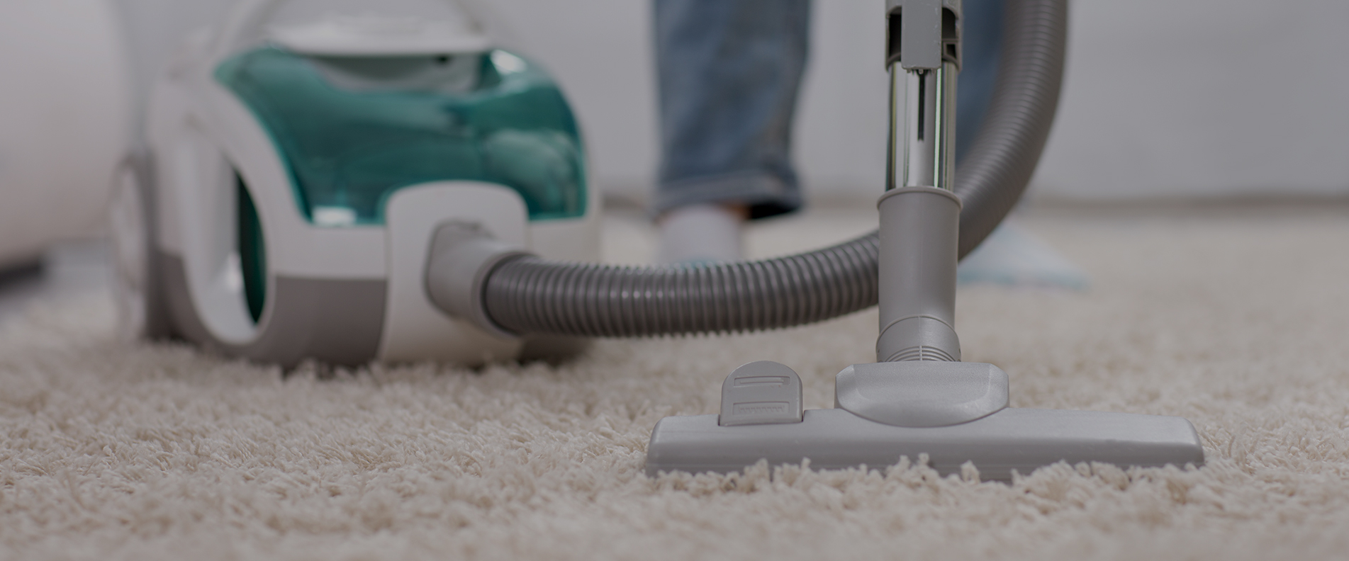 Carpet Cleaning N10